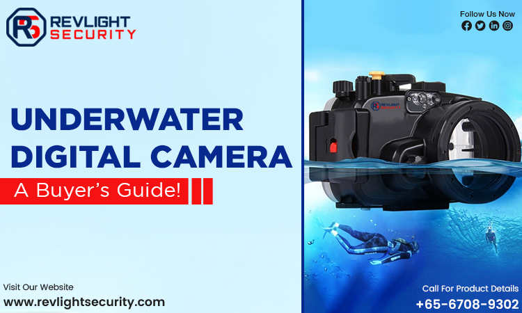 Underwater-Digital-Camera-Buyer’s-Guide!